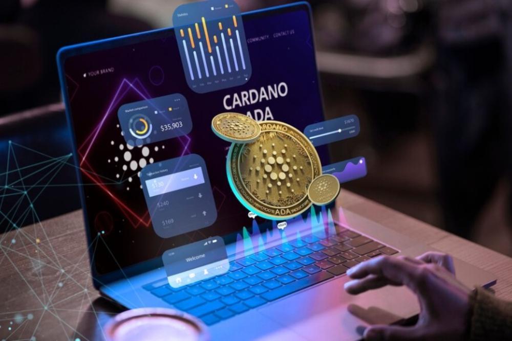 Daftar Wallet Habanero Terbaik untuk Keamanan Cryptocurrency Anda
